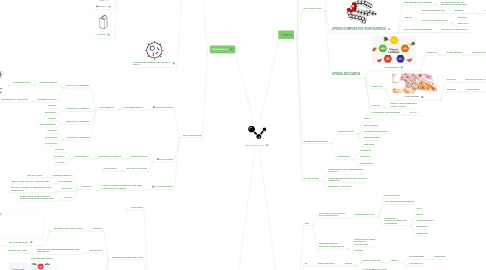 Mind Map: MACROMOLÉCULAS