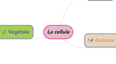 Mind Map: La cellule