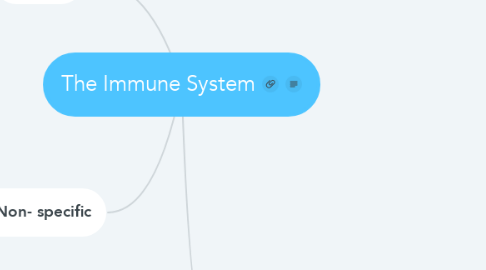 Mind Map: The Immune System