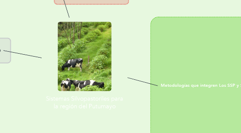 Mind Map: Sistemas Silvopastoriles para la región del Putumayo