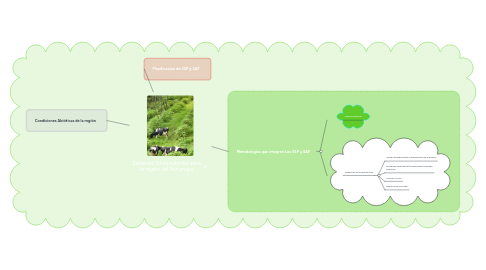 Mind Map: Sistemas Silvopastoriles para la región del Putumayo