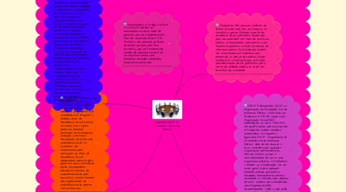 Mind Map: Terceiro Setor e  Conselhos Gestores (Aula 1 )