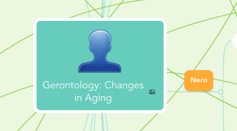 Mind Map: Gerontology: Changes in Aging