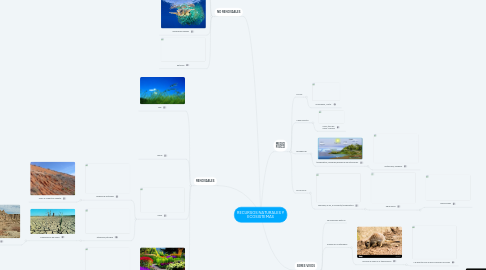 Mind Map: RECURSOS NATURALES Y ECOSISTEMAS