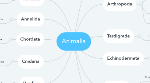 Mind Map: Animalia