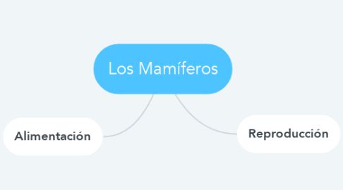 Mind Map: Los Mamíferos