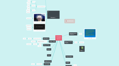 Mind Map: Ταξινόμηση οργανικών ενώσεων