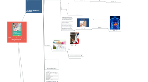Mind Map: 1.3 Segurança do paciente na administração de medicamentos