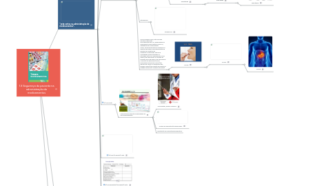 Mind Map: 1.3 Segurança do paciente na administração de medicamentos