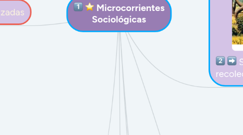 Mind Map: Microcorrientes Sociológicas