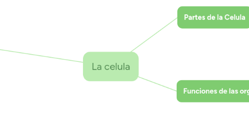 Mind Map: La celula