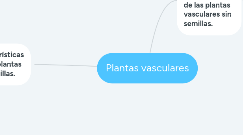 Mind Map: Plantas vasculares