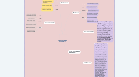 Mind Map: Micro corrientes sociológicas