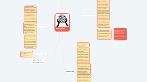 Mind Map: Micro-corrientes sociológicas