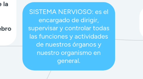 Mind Map: SISTEMA NERVIOSO: es el encargado de dirigir, supervisar y controlar todas las funciones y actividades de nuestros órganos y nuestro organismo en general.