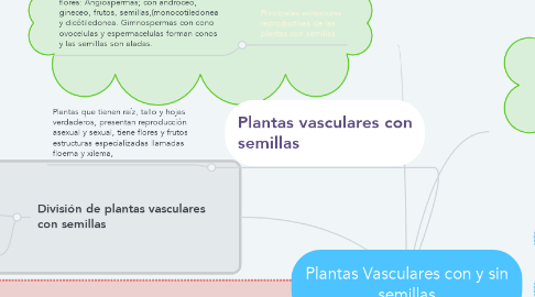 Mind Map: Plantas Vasculares con y sin semillas