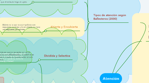 Mind Map: Atención