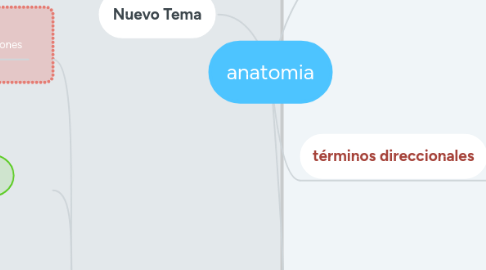 Mind Map: anatomia