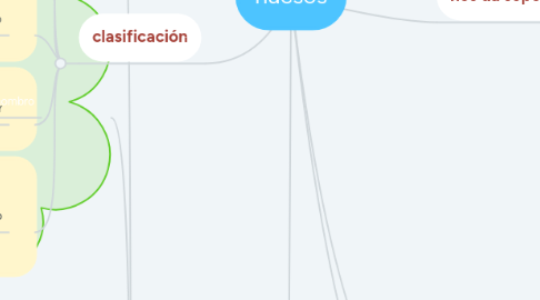 Mind Map: huesos