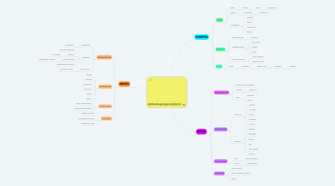 Mind Map: RITMOS MUSICALES (PACÍFICO)