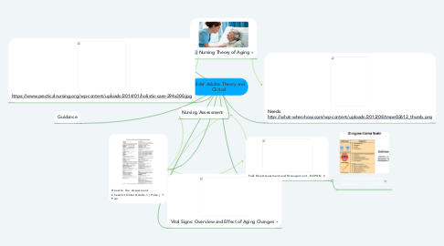 Mind Map: Older Adults: Theory and Clinical