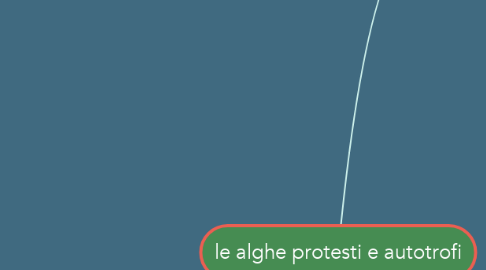Mind Map: le alghe protesti e autotrofi