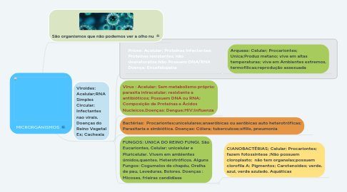 Mind Map: MICRORGANISMOS