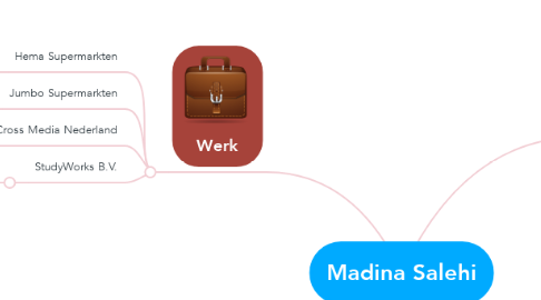 Mind Map: Madina Salehi