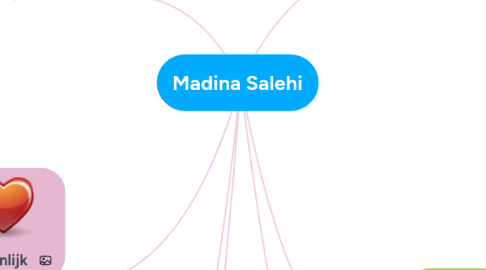 Mind Map: Madina Salehi