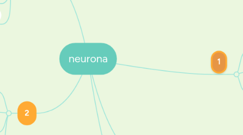 Mind Map: neurona