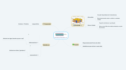 Mind Map: Membrana Plasmática