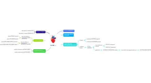 Mind Map: CUORE