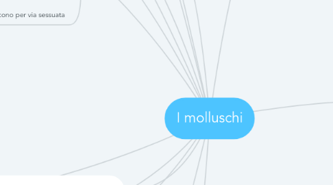 Mind Map: I molluschi