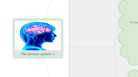 Mind Map: The nervous system.