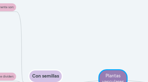 Mind Map: Plantas vasculares