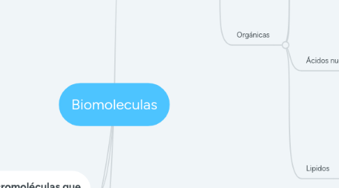 Mind Map: Biomoleculas