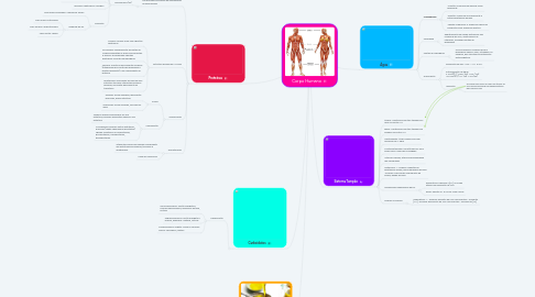 Mind Map: Corpo Humano