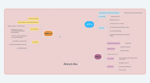 Mind Map: เด็กอายุ 6 เดือน