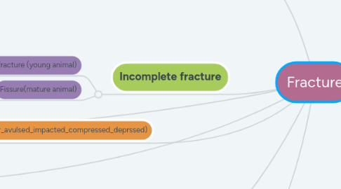 Mind Map: Fracture