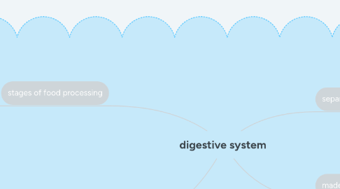 Mind Map: digestive system