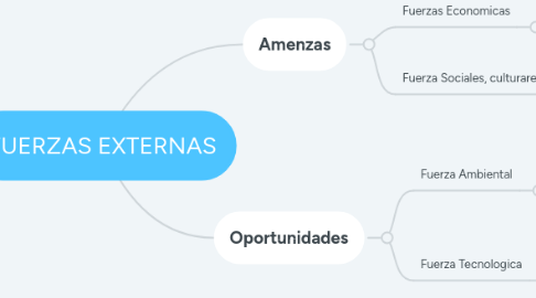 Mind Map: FUERZAS EXTERNAS