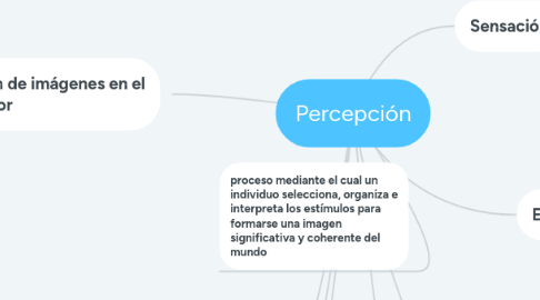 Mind Map: Percepción