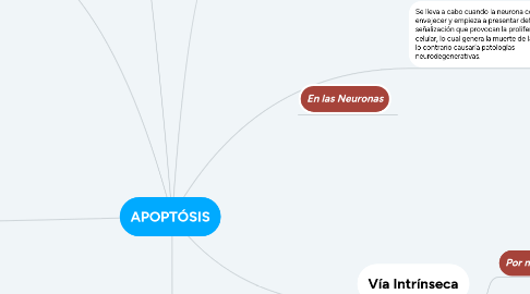 Mind Map: APOPTÓSIS