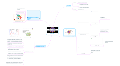 Mind Map: HIV/SIDA