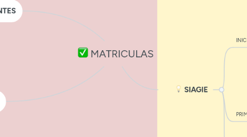 Mind Map: MATRICULAS