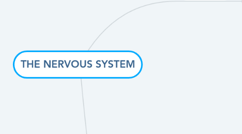 Mind Map: THE NERVOUS SYSTEM