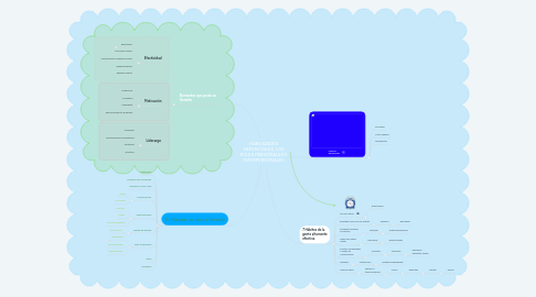 Mind Map: HABILIDADES GERENCIALES, LOS ROLES PERSONALES E INTERPERSONALES