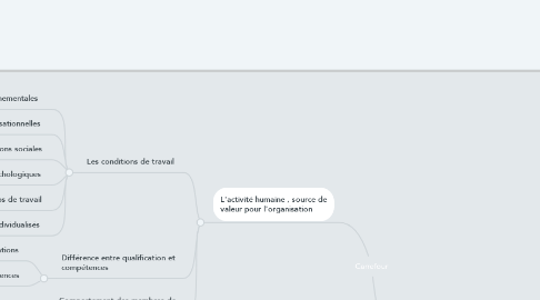 Mind Map: Carrefour