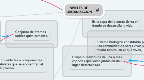 Mind Map: NIVELES DE  ORGANIZACIÓN