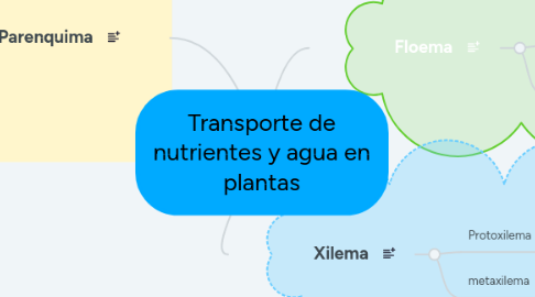 Mind Map: Transporte de nutrientes y agua en plantas